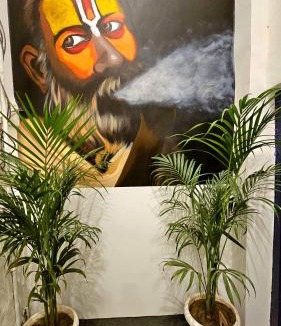 Varanasi House | Elephant House Boutique Stay - Budget Stay near BHU, BLW & Malaviya Hospital