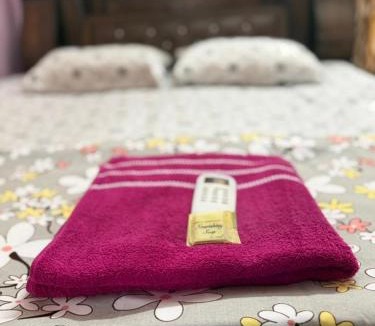 Mallapalli House | Richards Shared Apartment-AC