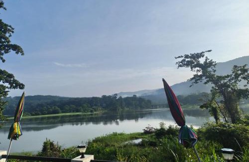 Todupulai House | Nature light homestay