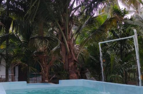 Anaimalai Hotel | Limra Farm House