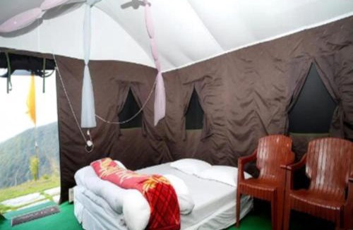 Chail Other | Camping in Chail