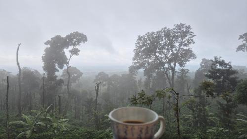 Madikeri House | Coorg Misty Mountains Stay