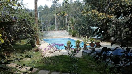 Vayittiri Resort | Wayanad Turmerica Premium Pool Resort