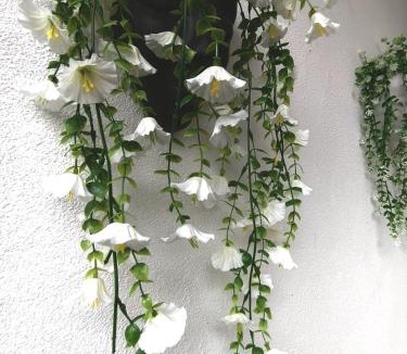 Vagator Apartment | Daffodil Room no 2
