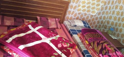 Dugalbitta Other | Chaukhamba Camp Stay