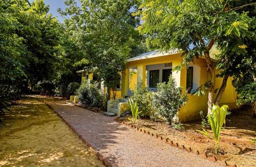 Sariska House | Sariska Forest Trail