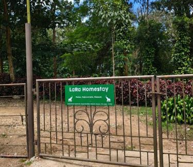 Belur House | Lara Homestay