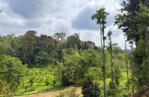 Virarajendrapet Resort | Paddy Creek Jungle Resort Coorg