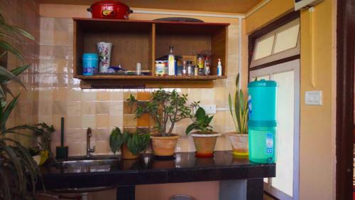 Turuk House | Bethany Homestay