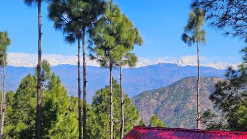 Sirala Resort | Shiv Forest Villas