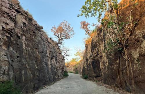 Bhanpura House | Bapna Farms- Farmstay in Bhanpura Gandhisagar region