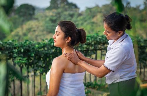 Mananthavady Resort | Hill Seasons Resorts and SPA
