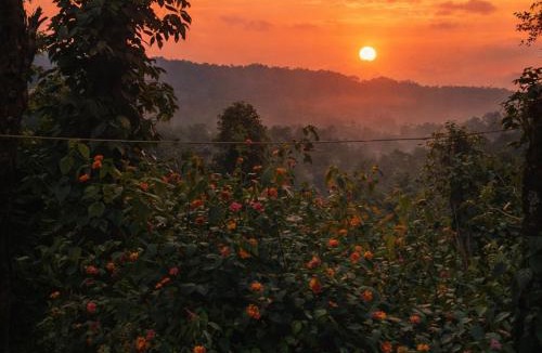Samse Resort | Adis Home - Private Villa With Private Stream in Kalasa