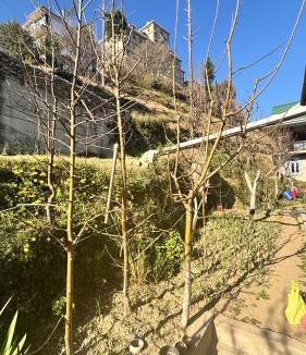 Kotgarh House | Sunrise View Farm-stay -Narkanda