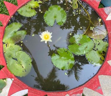 Kothamangalam House | Winter heaven with exotic fruits and flower garden