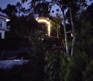 Meenangadi Bed & Breakfast | LilliputHaven Treehut