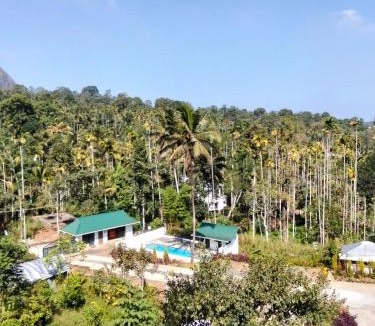 Meenangadi Bed & Breakfast | LilliputHaven Treehut
