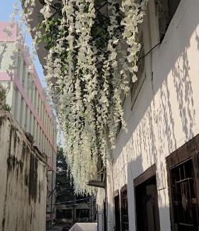 Hazratganj Hostel | Green Olive