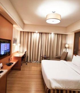 Mahipalpur Hotel | Hotel S R PLAZA
