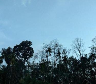 Somvarpet House | Halli Bailu Cottages