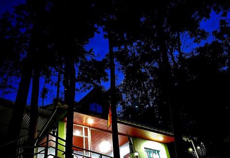 Kurseong Cabin | Sukhim Farmstay