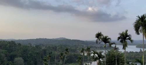 Vayittiri Villa | mountain lake view private pool villa -Wayanad