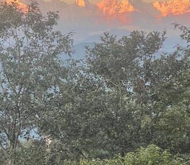 Vijaypur House | The Himalayan Oaks
