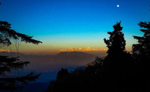 Landour House | Devdar Woods - An LVB Experience