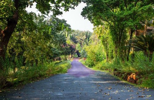 Bogmolo Resort | Stone Water Eco Resort
