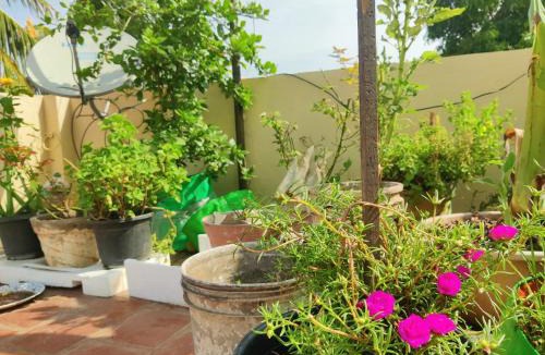 Chennai House | The Upper Deck