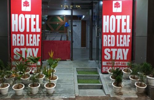 South West Hotel | Red leaf stay
