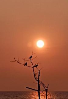 Gokarna House | Parshuram Homestay Gokarna