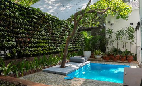 Vagator Resort | Swimup - Suites with private pool , Vagator