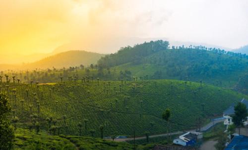 Valparai Resort | BEL VISTO