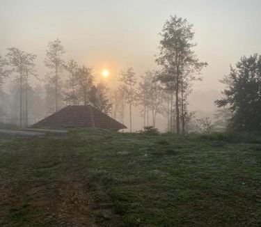 Kunjila House | FernHills Homestay