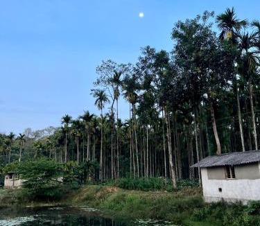Virajpet House | Green Castle