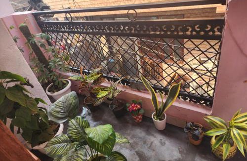 Dilshad Garden Apartment | Homlee-Best Value-1BHK-Dilshad Metro-Kitchen