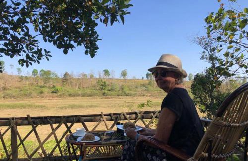 Sulthan Bathery Other | Lotus Jewel Forest Camping