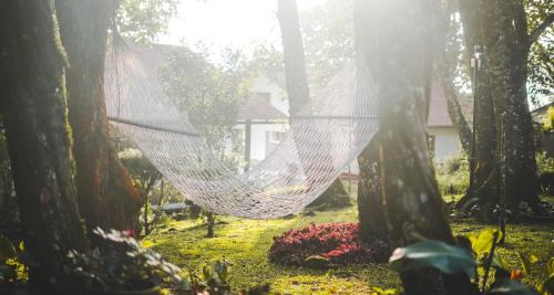 Devikolam Resort | Windermere Estate