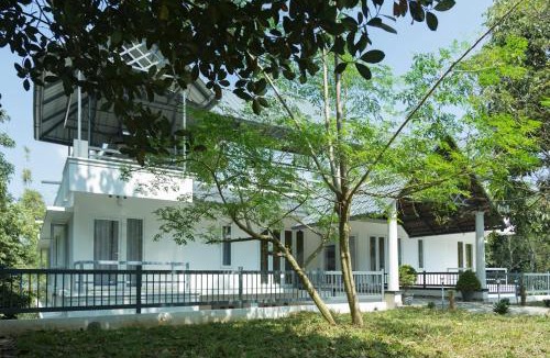 Vazhayil Resort | Bamboo Creak