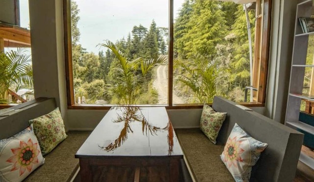 Alt Life - Dharamkot - Hostel in Dharamshala