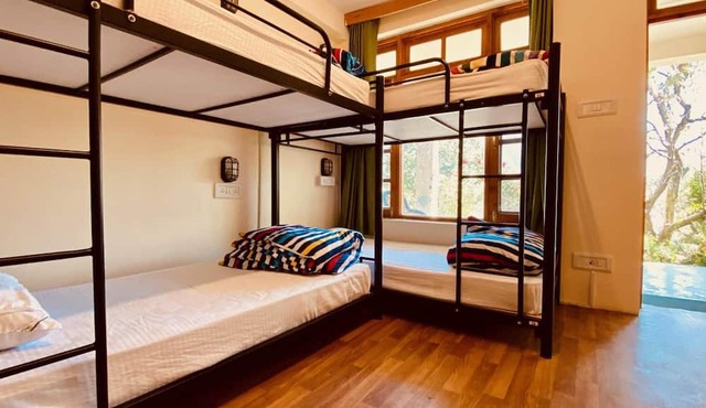 Madpackers Manali - Hostel