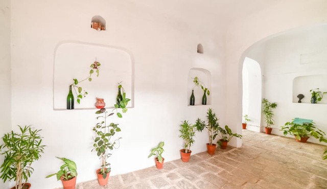Hotel Saba Haveli in Jaipur
