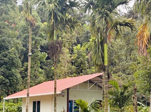 Swasthiks Home stay