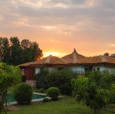 Homestead thapli