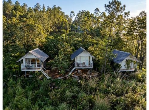 Kolukkumalai Wild Cabins
