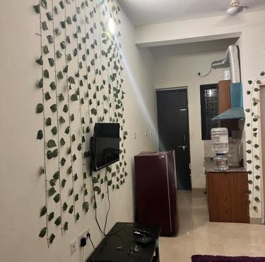 Trydan room stay