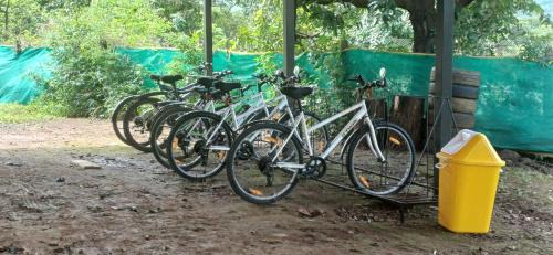 Home Stay in Arogyam at Mulshi Backwaters