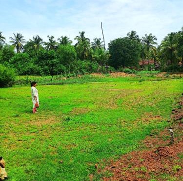 Prafulla's nature nest home stay